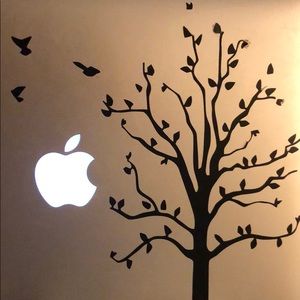 Meet your Posher, Rryan